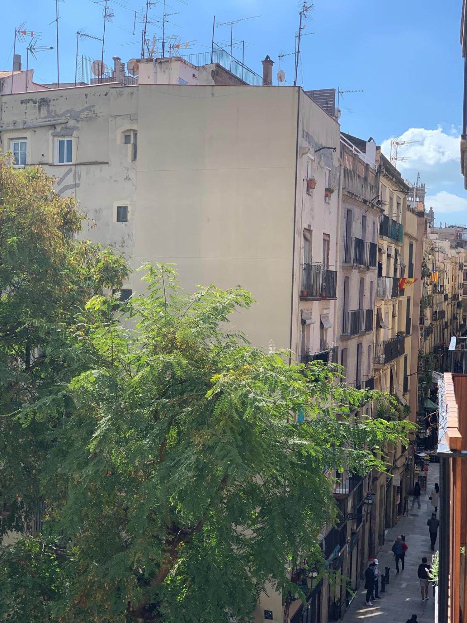 Cozy Becky Born Appartamento Barcellona